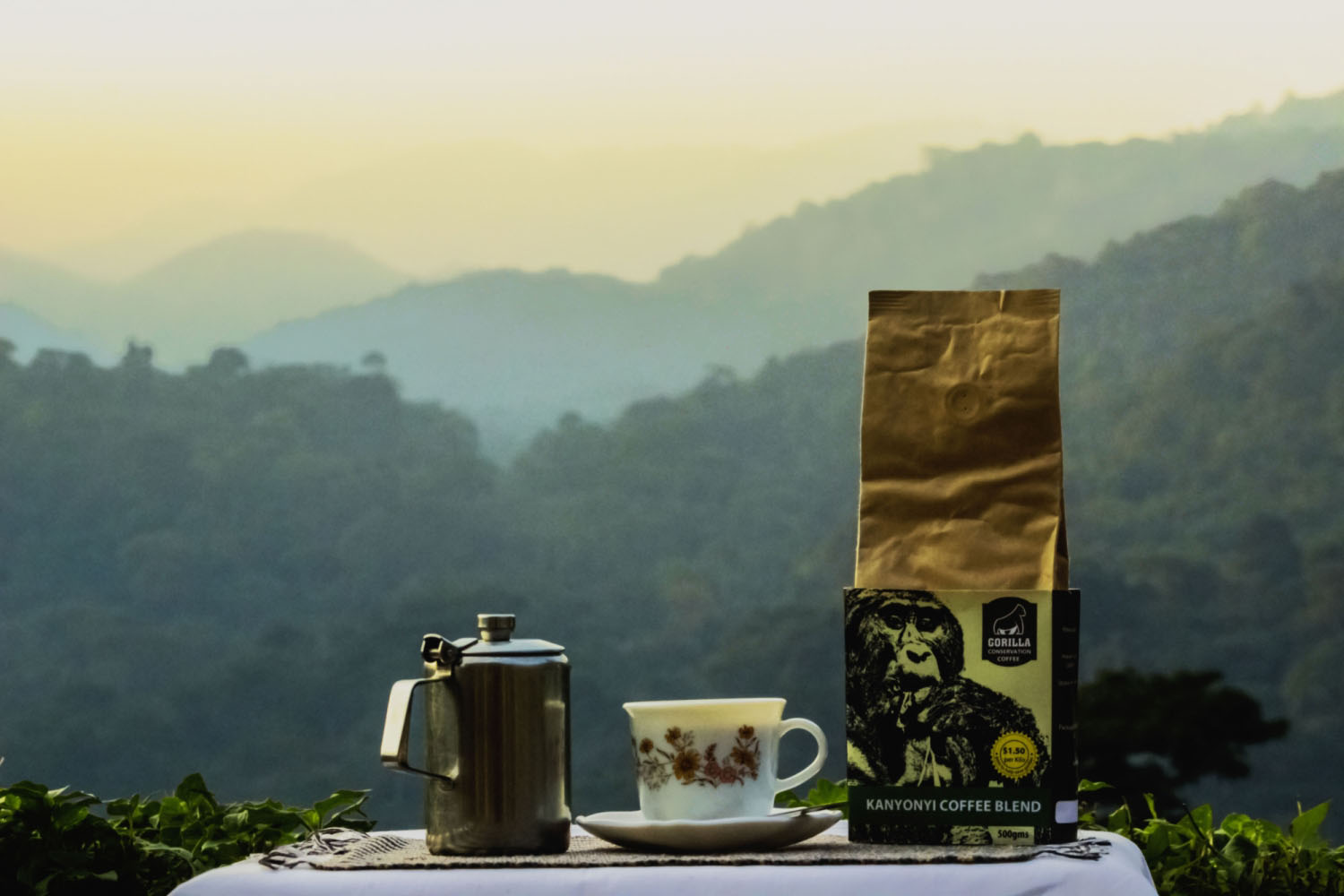 Fresh Gorilla Conservation Coffee. View of Bwindi Impenetrable Forest