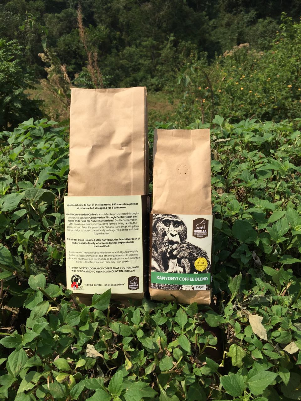 Kanyonyi Blend Gorilla Conservation Coffee 250g packets
