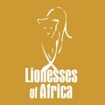 Lionesses of Africa