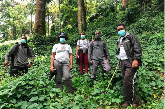 Dr Kalema-Zikusoka and members of the Conservation Through Public Health team out monitoring a gorilla group.(Supplied: Conservation Through Public Health)